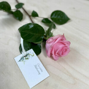 Handblomma, rosa ros med kort
